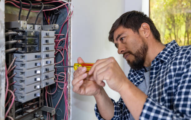 Best Electrician for Home Renovation  in Jonesboro, IL